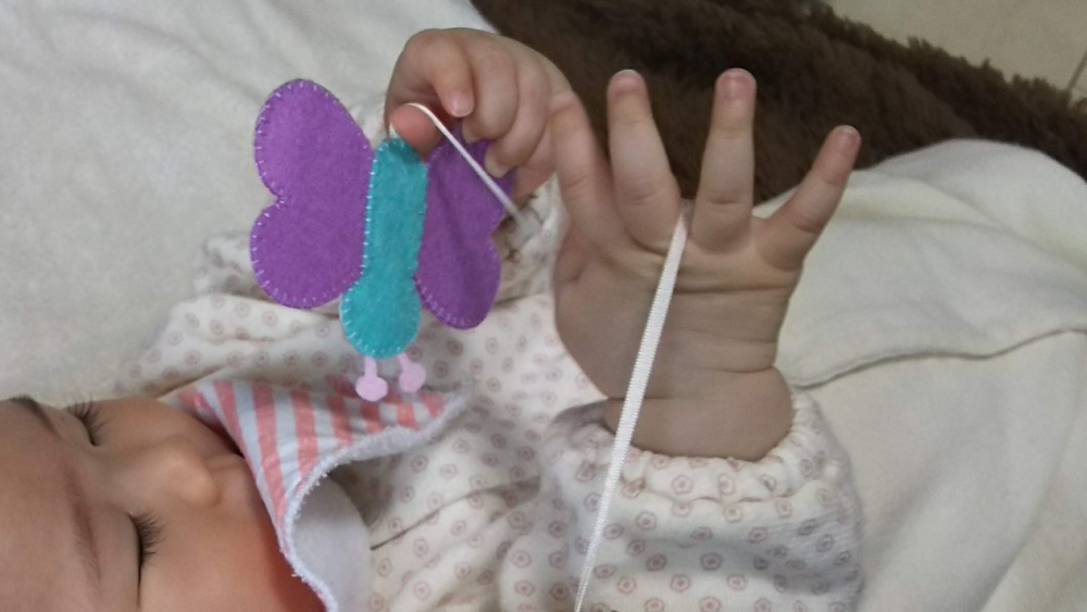 play-with-butterfly